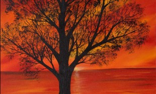 Peaceful Solitude